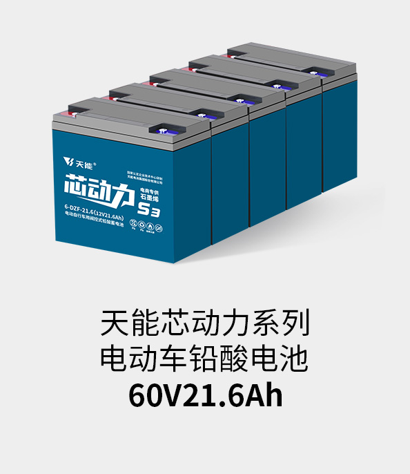 天能電池60v20ah