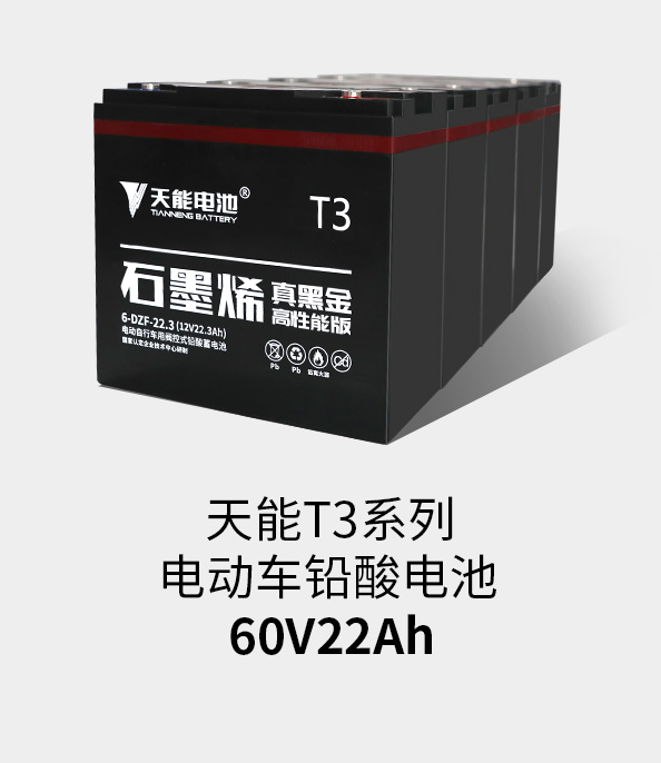 天能T3系列60v22ah